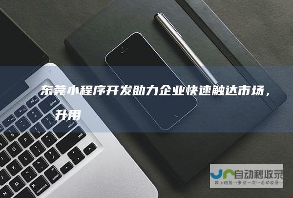 东莞小程序开发:助力企业快速触达市场,提升用户体验